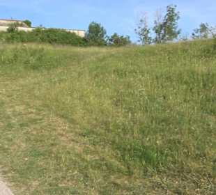 Kreuzweg Wurmlinger Kapelle