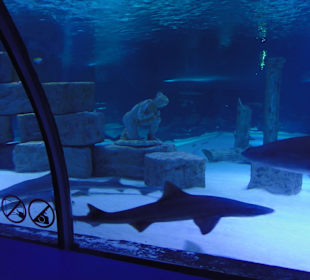 Aquarium Antalya
