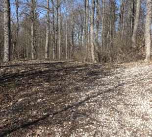 Burgruine Hohenstein