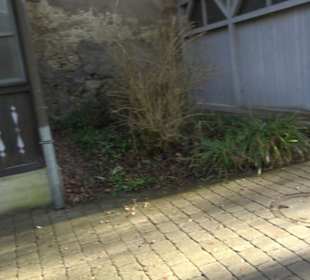 Musikpavillon und Laubengang