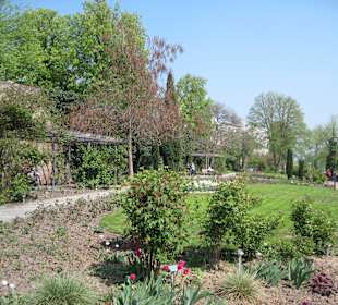 Rosengarten
