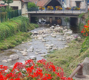 Stadtbesichtigung Ottenhöfen