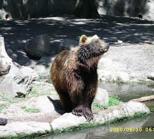 Tierpark Hagenbeck