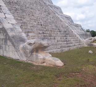 Gefiederte Schlange der Kukulkan-Pyramide  