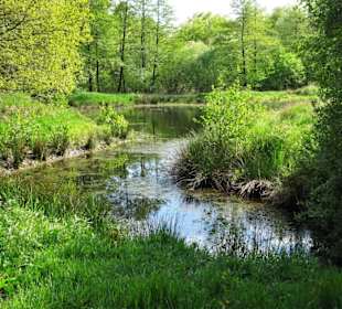 Eindrücke aus dem Stadtwald Oldenburg