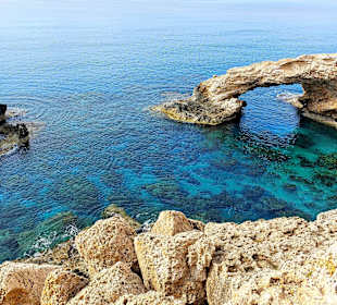 Ayia Napa Bogen Monachus Monachus