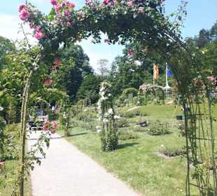 Rosenneuheitengarten