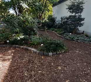 Chinesisches Teehaus im Luisenpark