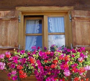 bunte Blumenpracht in Bartholomäberg
