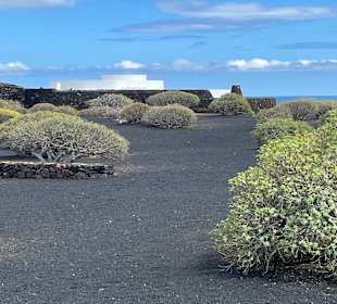 Ausflüge Lanzarote