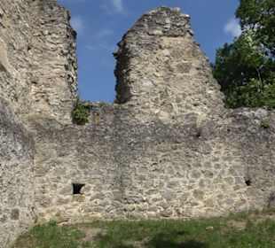Burgruine Niederhaus