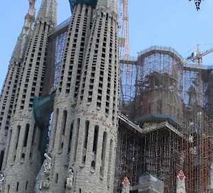 Katedra Sagrada Familia