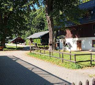 Wildpark Osterzgebirge