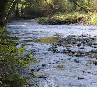 Ziemlich wenig Wasser in der Wutach