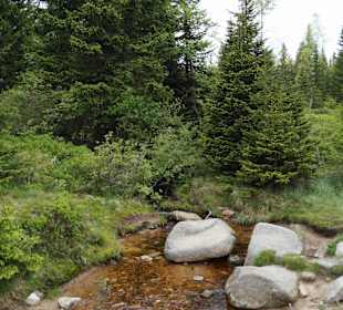 Karkonoski Park Narodowy