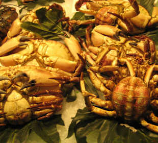 Auf dem Markt von Barcelona ist alles ganz frisch