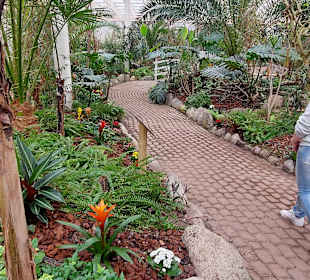 Schmetterlingsgarten
