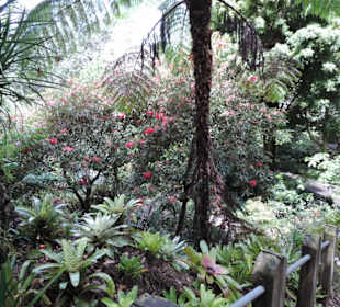 Eden Garden ein Paradies mitten in der Stadt