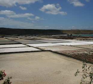 Salinas de Janubio