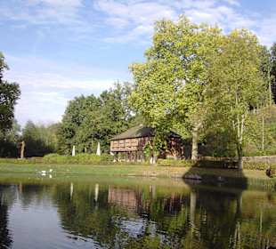 Wasserschloss Mespelbrunn - Schlosspark
