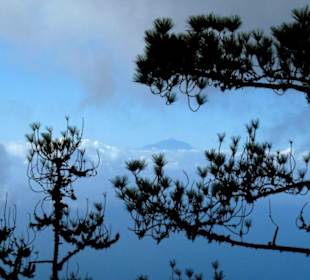 Blick bis zur Teide