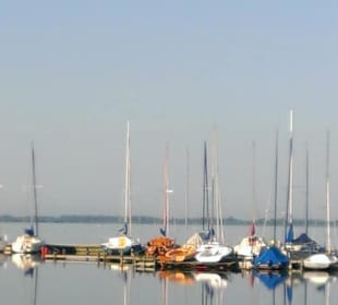 Stimmung am Dümmer See