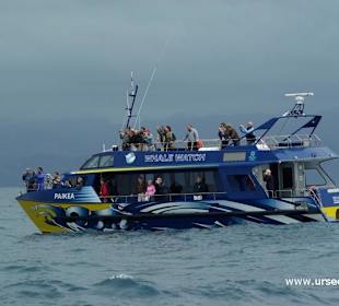 Whale Watching Boot