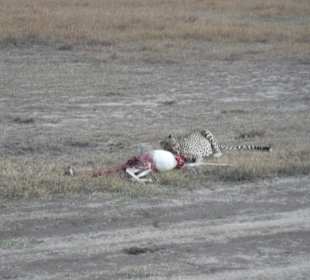Sweetwater National Park