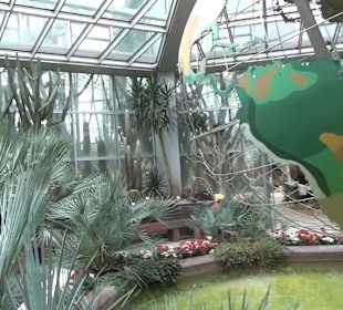 Tropicarium - Trockentropen