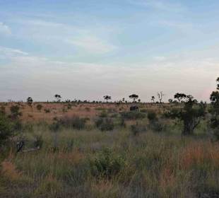 Krüger Nationalpark