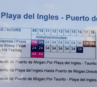 Stadtrundgang Playa del Ingles