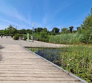 Naturschutzgebiet Grube Reden in Schiffweiler