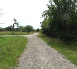 Premiumspazierweg Früchtetrauf-Leisawegle