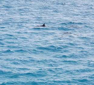 Kariobikfeelingtour / Sandbank