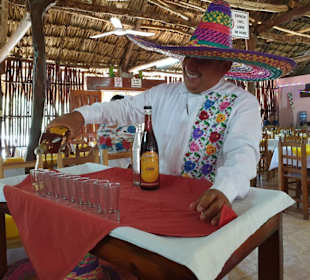 Narürlich Teecilla Verkostung bei 32 ° Grad i. Sch