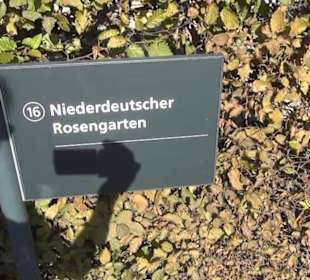 Niederländischer Rosengarten