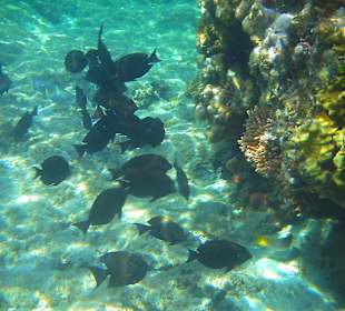 Hausriff- Hotel Cinderella Beach