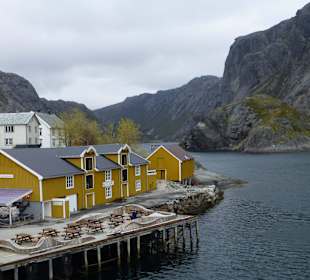 Nusfjord