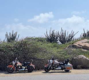 Harley - geführte Tour
