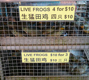 Markthalle in Chinatown