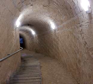 Von nun an gings bergab