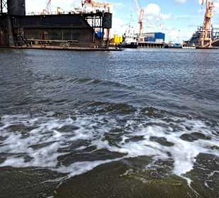 Emder Hafen aus Entenperspektive