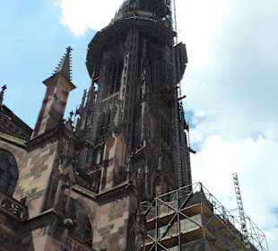 Freiburg, Dom - leider eingerüstet