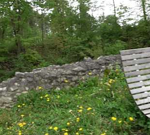 Ruine Burg Kaltenburg