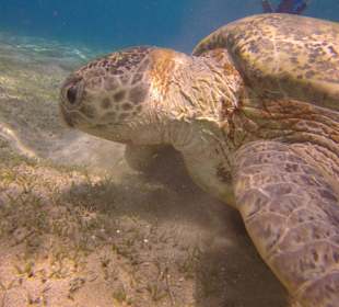 Ausflug mit Coco Trans