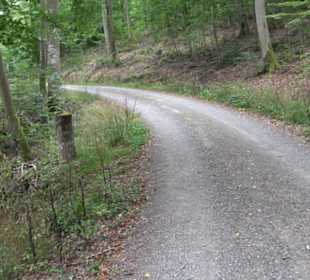 Altwege Rundwanderung Bebenhausen