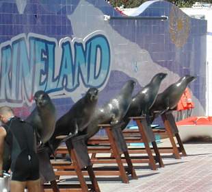 Marineland