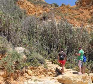 Steilküste - Wanderweg
