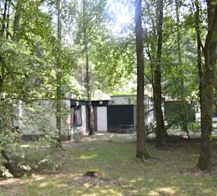 Ausblick auf die Bungalows