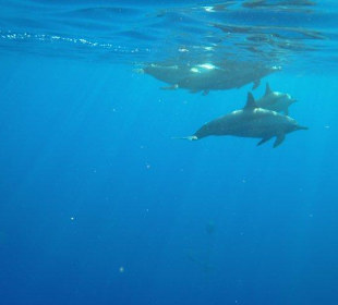 Alle Bilder an einem Tag!